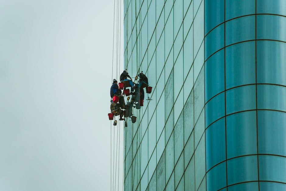 Pollenfreies Fensterputzen mit den richtigen Zeitpunkten