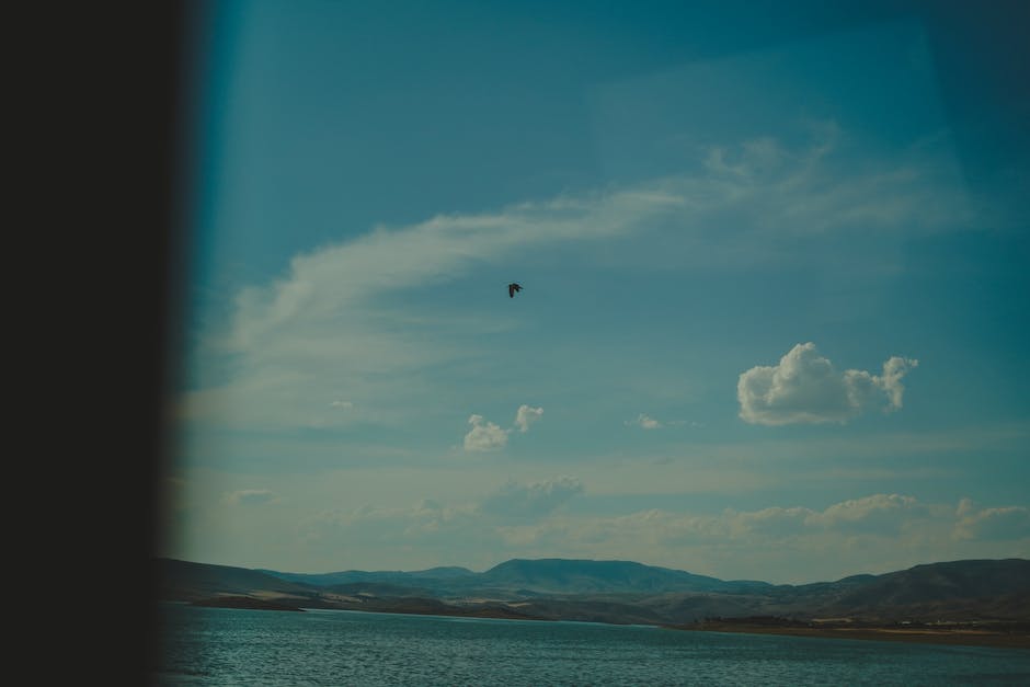  Warum haften Fliegen am Fenster?