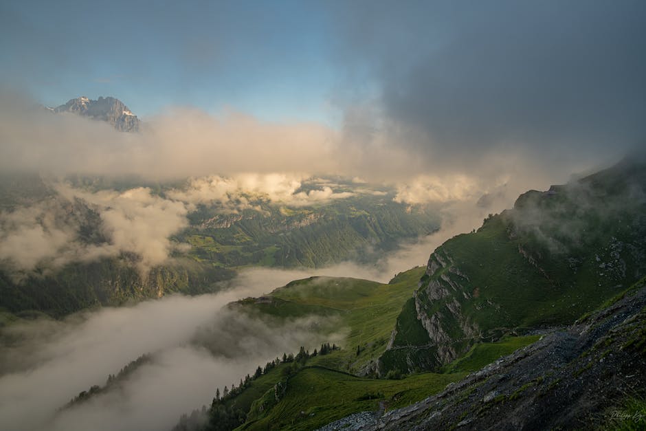  Fensterinnenseite Nassursache